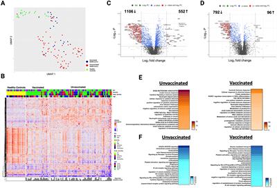 Alterations in the plasma proteome persist ten months after recovery from mild to moderate SARS-CoV-2 infection